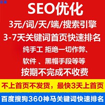 百度网络网站seo优化品牌词公司企业关键词首页快速排名全网推广