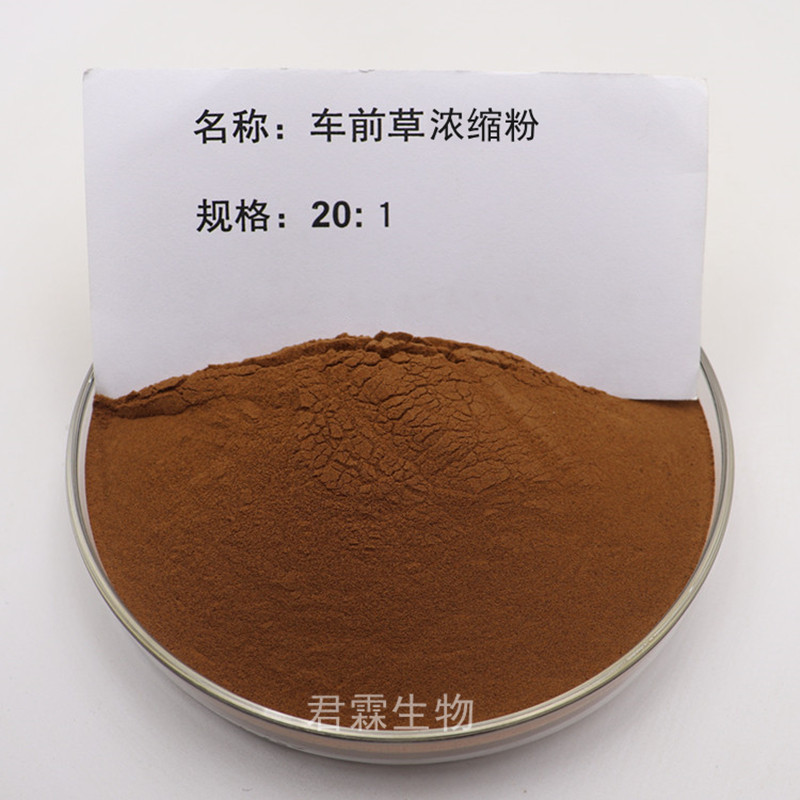 野生车前草茶提取物20:1 天然车前草浓缩精华粉原料送量勺