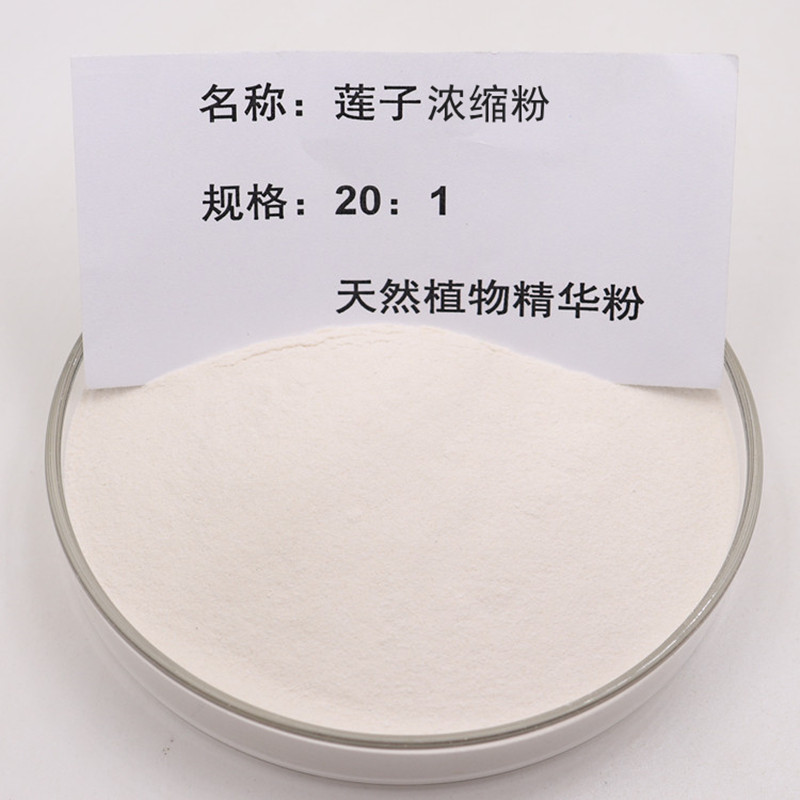 莲子提取物20:1天然干莲子浓缩精华原料粉 送量勺