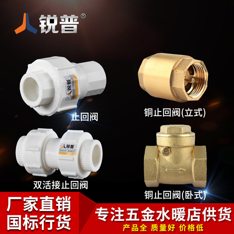 PPR Water Pipe Accessories Check Valve 20 25 32 Hot Melt Double Live Copper Stop Inverted Valve Vertical Horizontal Copper Check Valve