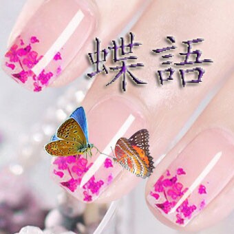 蝶語美甲