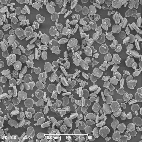 Flake-Shaped Alumina Powder for Coatings: Reinforced, Wear-Resistant, Heat-Conductive, High Coverage