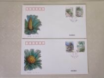 1996-7 Cycad Special Stamp Corporation first day cover (set of 2 pieces) with a little yellow dot good stamp