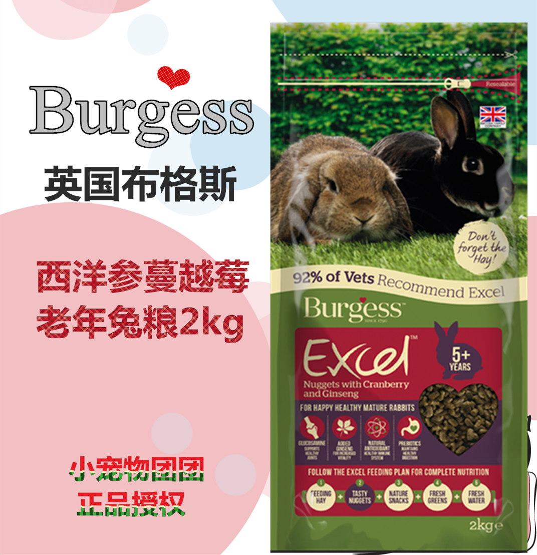 Spot Seconds Hair British Burgess Small Red Berry Ginseng Buggs Aged Rabbit Grain 2KG Self-proclaimed Split