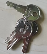 Заготовки ключей 诺蒂菲尔rp-1002plus气体盘钥匙 通用主机钥匙 现货