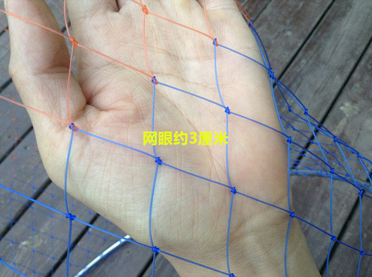Img_4214_d Copy .jpg