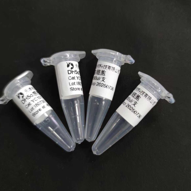 Bs168/W600/Wb800/Sck6 Bacillus Subtilis Protein Expression Category Bacillus Subtilis Expression Bs168/W600/Wb800/Sck6 Bacillus Subtilis Protein Expression Category Bacillus Subtilis Expression