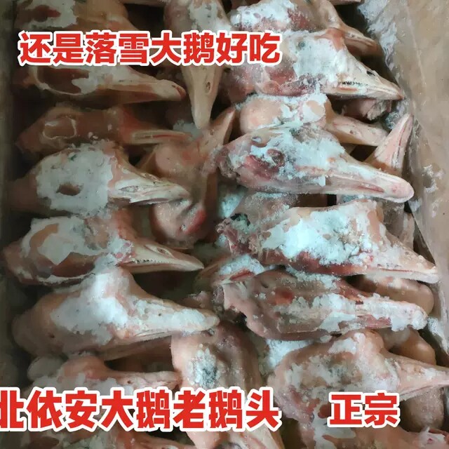 Goose head 20 catties Northeastern raw fresh with bag old goose head big goose head Yi'an County