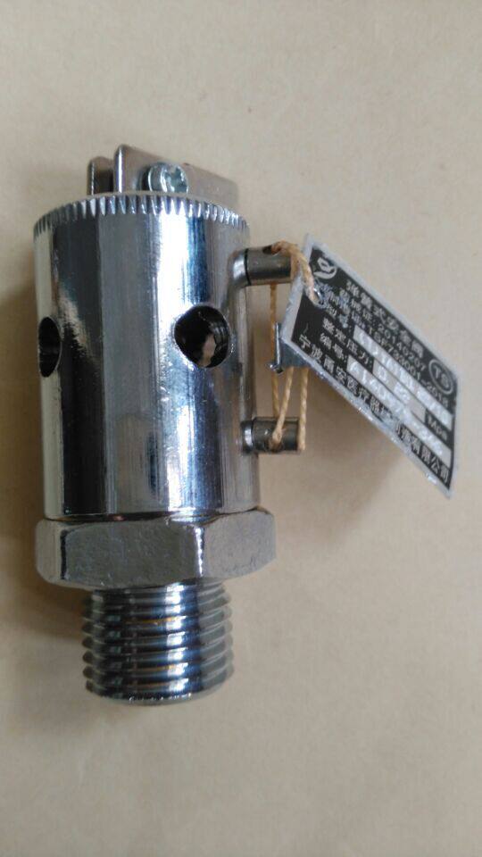 Jiangyin Binjiang vertical medical high pressure sterilizer pressure steam sterilizer accessories safety valve vent valve