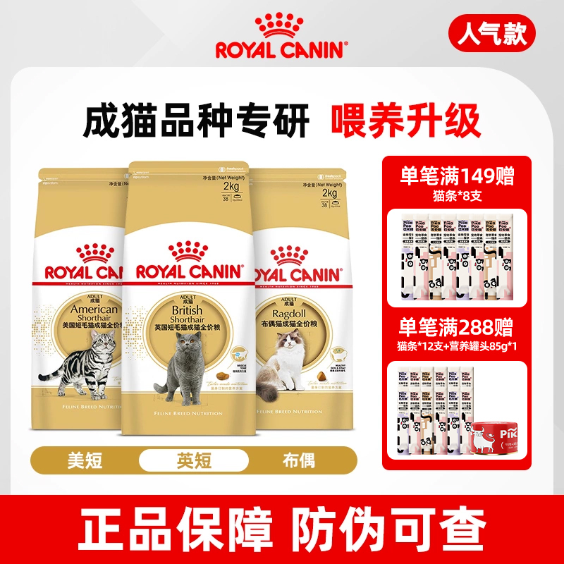 Royal Cat Food Bs34 British Shorthair Adult and Kitten Blue Cat Complete Food Special for American Shorthair Ragdoll Persian British Shorthair Cat Food