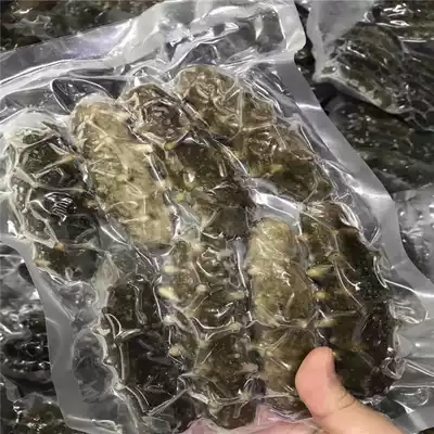 Ready-to-eat Sea Cucumber Liao Ginseng Sea Cucumber 500g