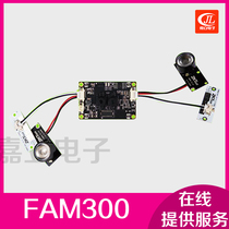 The Central Control FAM300