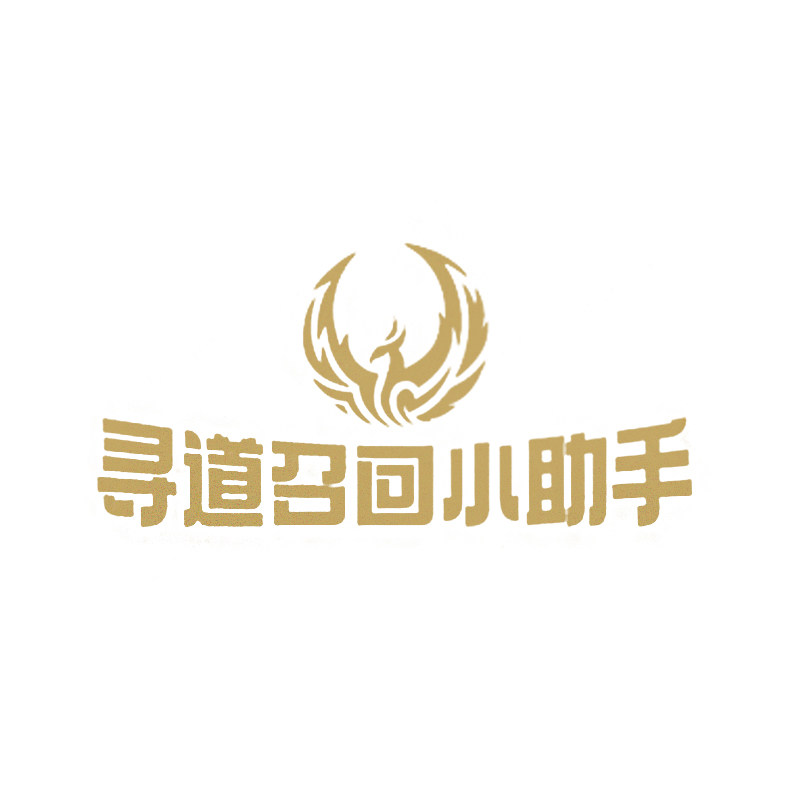 寻道召回小助手的LOGO