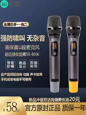 (Anti-howling wireless microphone) Sony Ai WS5 professional microphone home TV singing Karaoke Karaoke stage ktv Conference outdoor audio dedicated U-band FM Universal Receiver