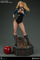 (Physical spot)Sideshow 300287 DC Raptor Squad Black Canary PF Statue