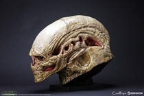 (Physical stock)CoolProps X sideshow 902730 alien 4 reverse alien skull