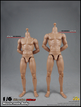 (Physical stock)COOMODEL Muscle body 2 0 Male body-BD003 Male body-BD004