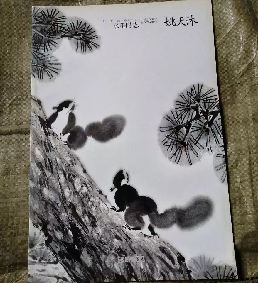5成新】新世紀水墨時態姚天沐中國當代名家畫集畫冊畫譜寫意國畫山水