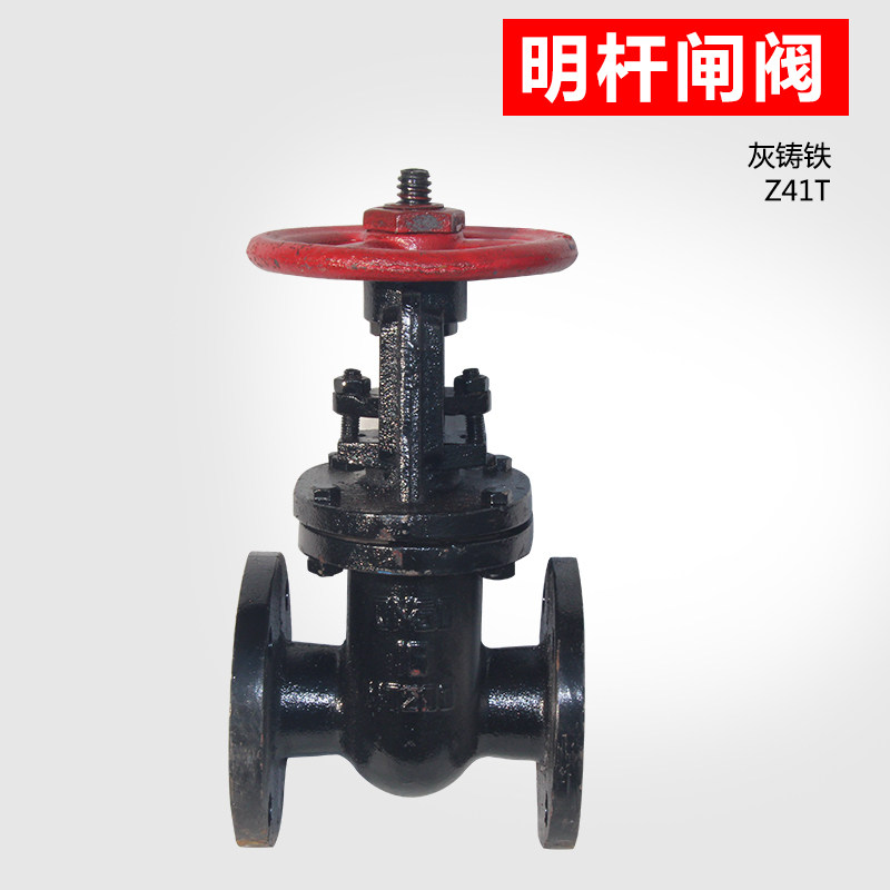 Z41T Copper core gray cast iron valve Open rod gate valve Flange gate valve Water tank fire valve Protective gate valve 
