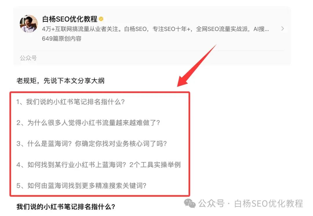 白杨SEO:国外独立站GEO例比什么做。15步能够操作方法分享