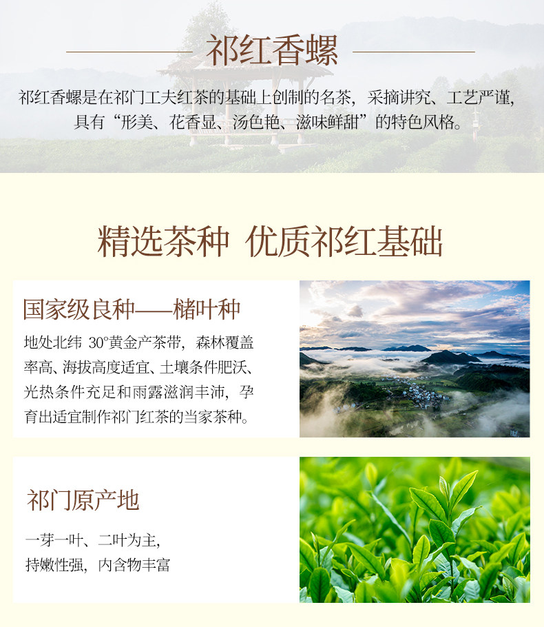 祥源茶 祁门红茶 祁红香螺 50g 图3