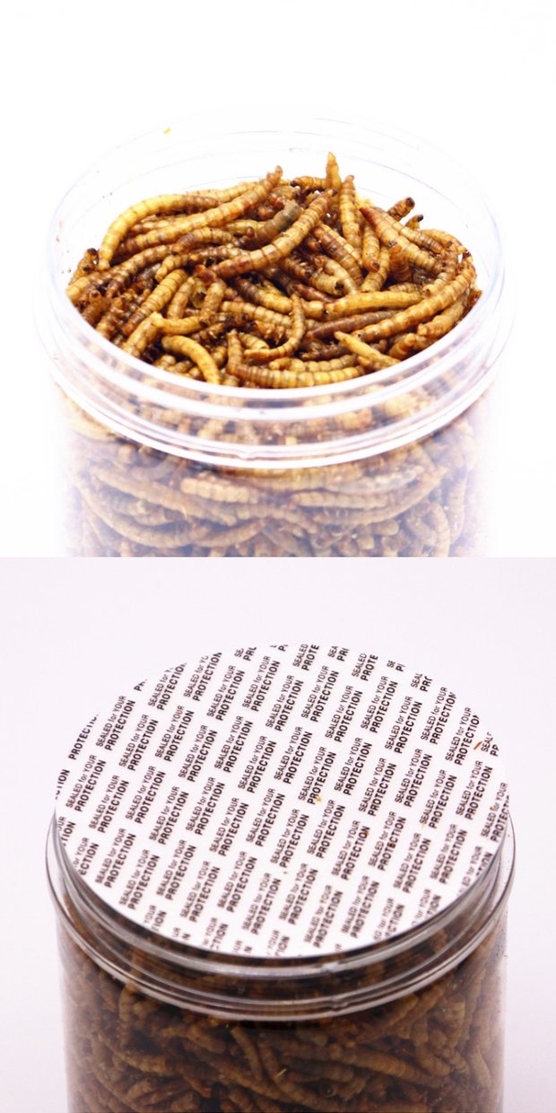 Bánh mì giun khô bột vàng hamster hạt hamster cung cấp gấu vàng đồ ăn nhẹ nhím thực phẩm cá thức ăn cho rùa thức ăn chim thức ăn - Chim & Chăm sóc chim Supplies 	cám cho chim vành khuyên	