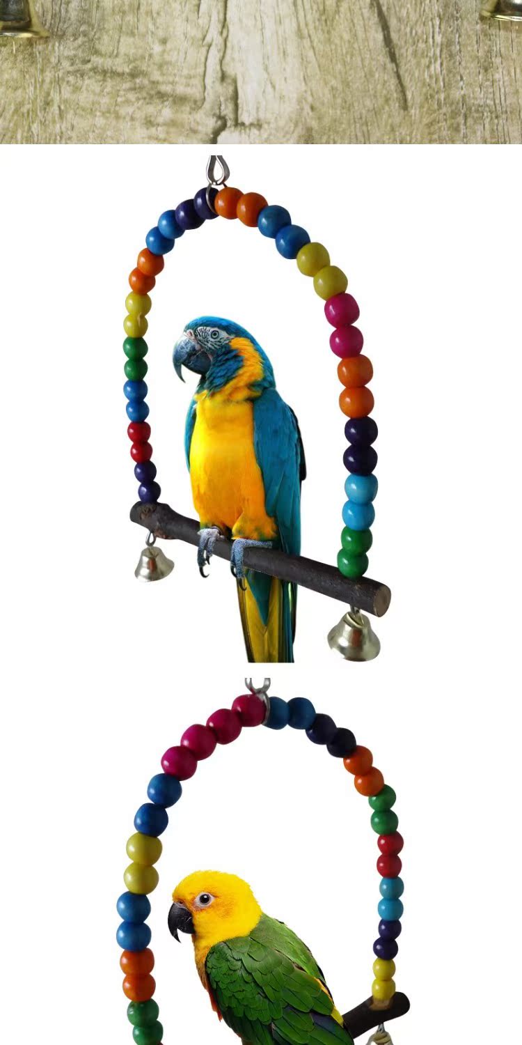 Vẹt nhỏ vừa và lớn vẹt Golden Sunbird đồ chơi đu chim lồng phụ kiện chim cung cấp vòng treo cầu - Chim & Chăm sóc chim Supplies 	cám cho chim thanh tước