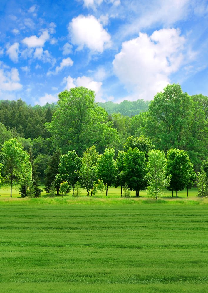 新款影楼拍照摄影背景纸主播蒙古民族风背景大草原蓝天白云风景布