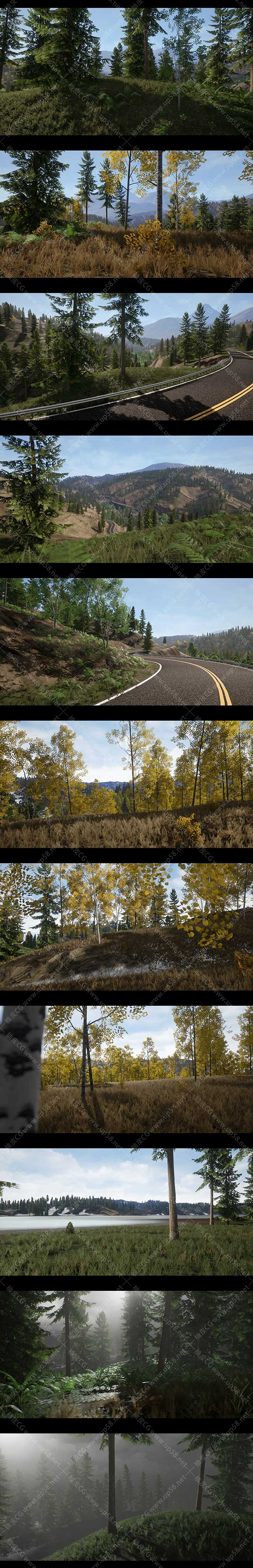 Unreal Engine高质量地图草地花朵岩石森林环境素材包Realistic Forest Pack