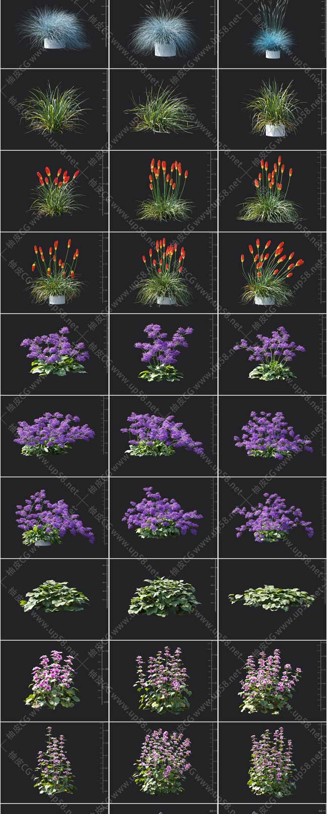 3DSMAX蓝羊茅野蔷薇灌木洋葱紫草薰衣草精细3D模型