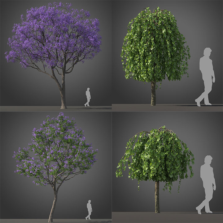 3dsmax VRay亚热带树木植物高品质3D模型