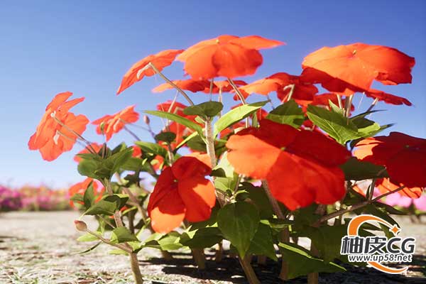 160+个Unreal Engine独特的游戏就绪鲜花花卉植物网格UE素材