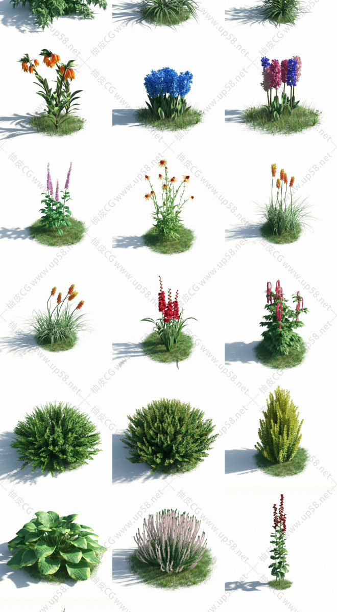 54种专业C4D/3DSMAX可视化花草植物3D模型合集