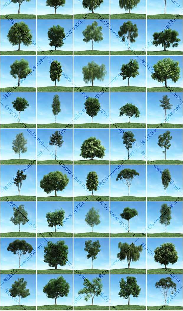 3DSMAX / VRay室外场景设计树木精细3D模型