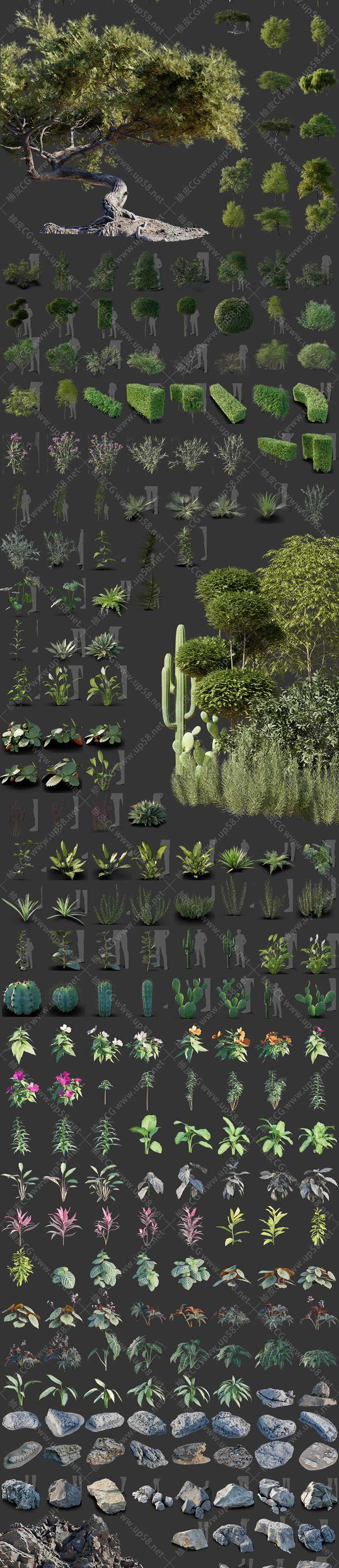 [汉化版]Blender快速场景构建与资产散布插件BagaPie v11.0.10+600种环境资产库(中文字幕教程)