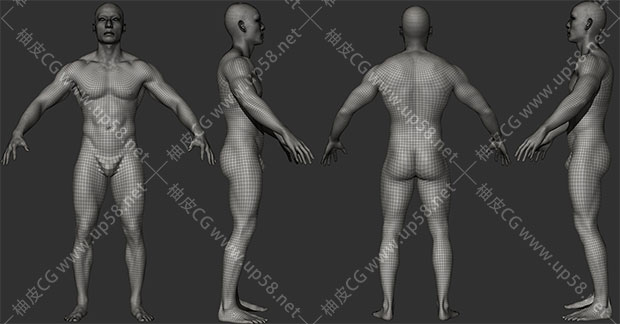 ZBrush / FBX男女角色逼真动画就绪身体扫描3D模型素材包