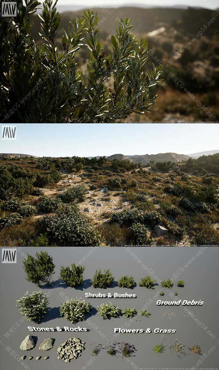 Unreal Engine高性能环境细节灌木丛插件MW Shrubs & Bushes Biome