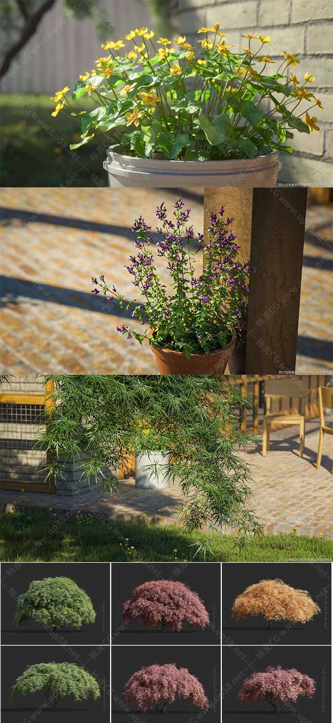 3DSMAX绣线菊白枫香蒲红枫叶金莲花羽毛草精细3D模型