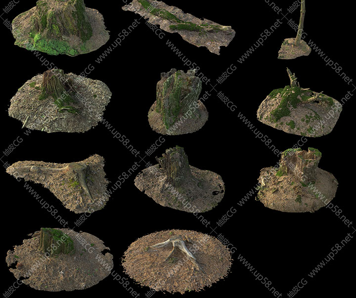 3dsmax VRay树枝树干树桩岩石精细3D模型