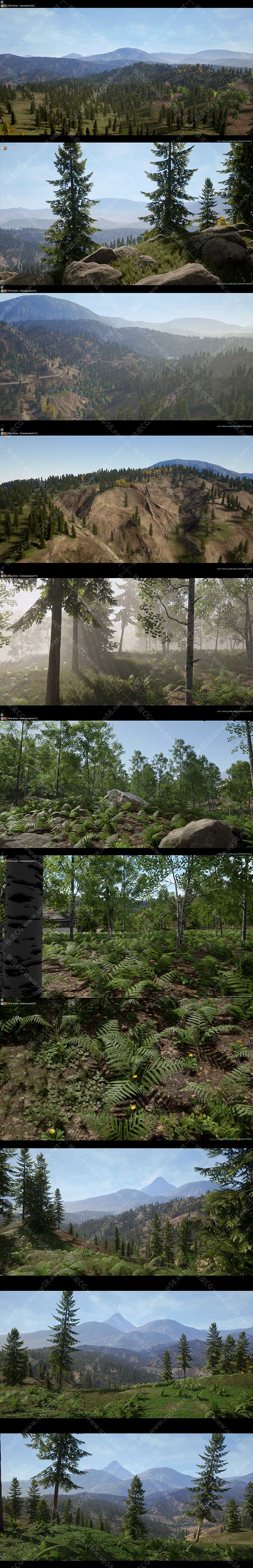 Unreal Engine高质量地图草地花朵岩石森林环境素材包Realistic Forest Pack