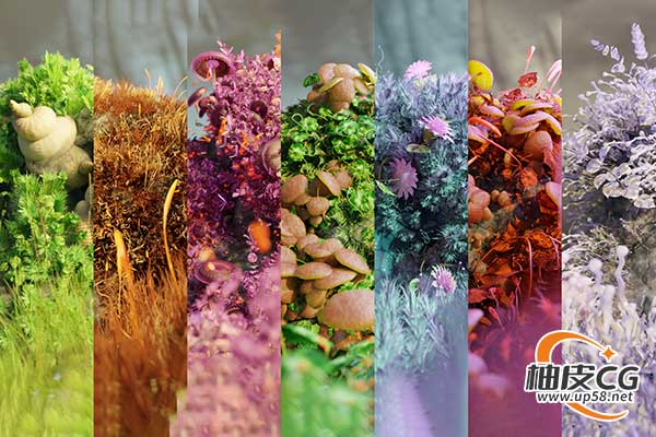100+Blender逼真3D苔藓元素生物群系预设资源库(中文语音教程)