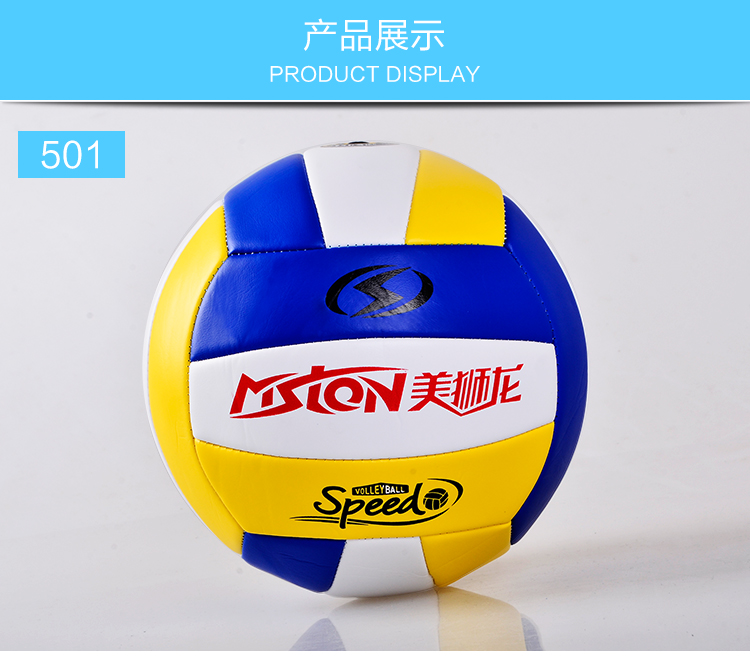Ballon de volley - Ref 2009204 Image 15