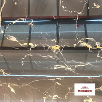 Marco Polo tile CZ8509AS 800*800