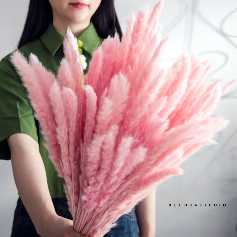 ins Net red Reed dried flower bouquet feather hipster decoration props cafe wedding soft decoration ornaments shooting