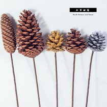 zakka pinecone flower arrangement Dried fruit original ecological plant window props decoration Christmas decoration Dried flower package gift