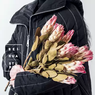 Nordic style literary retro natural eternal flower imported dried flower Tianshan snow lotus home hotel wedding soft decoration