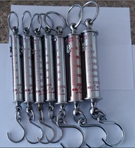 Pull Gauometer Dynamometer Spring Scale Thrust Gauge Tube Type Pull Gauge 20N30N50N100N200N