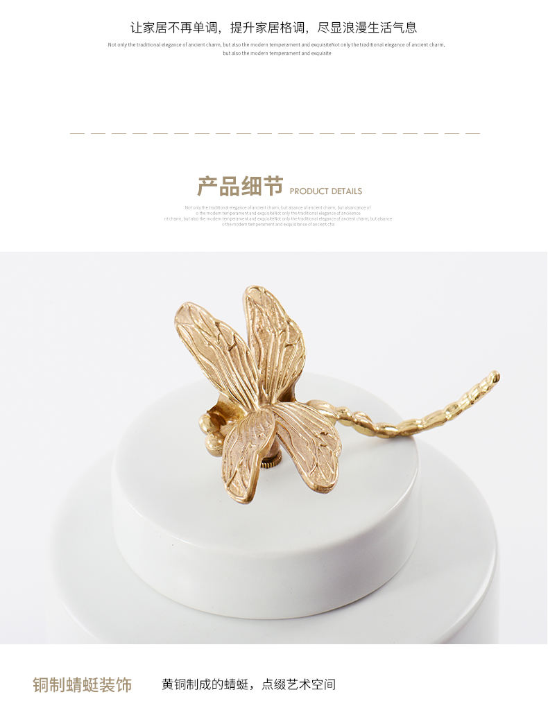 New Chinese style is contracted dragonfly cover handle ceramic storage tank furnishing articles creative household indoor hallway porch soft outfit decoration