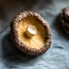 Товары от 天天鲜食品4