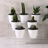 Yayli Steps Show Shread Трехновие -слойная трапециевидная полка стойка для обуви стойки -тип прозрачного хранения